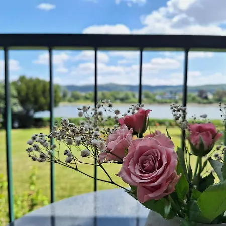 Rheinblick