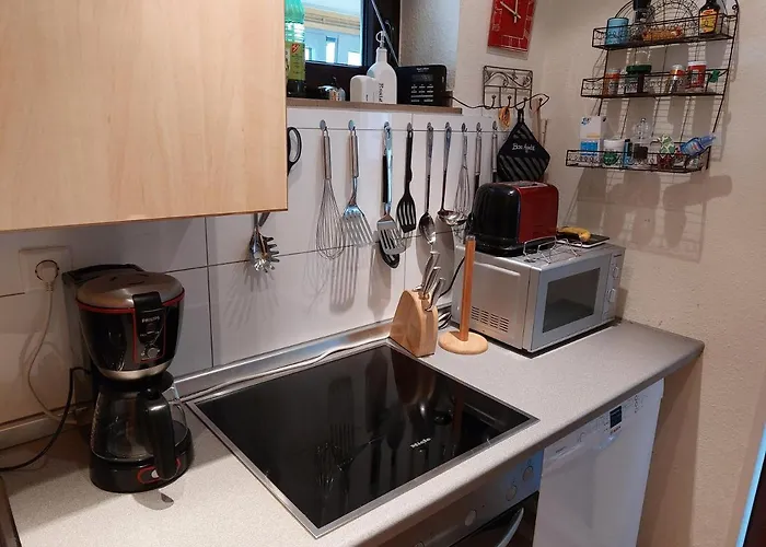 Rheinblick * 雷马根