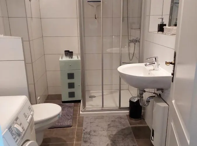 Rheinblick * 雷马根